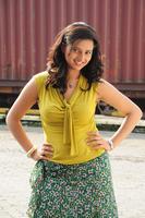 Isha Chawla New Photos